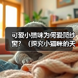 可爱小猫咪为何爱爬纱窗？（探究小猫咪的天性和行为特征，解析为什么小猫咪喜欢爬纱窗）（图4）