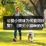 可爱小猫咪为何爱爬纱窗？（探究小猫咪的天性和行为特征，解析为什么小猫咪喜欢爬纱窗）