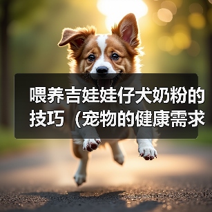 喂养吉娃娃仔犬奶粉的技巧（宠物的健康需求和喂养技巧）（图3）