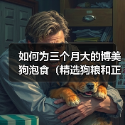 如何为三个月大的博美狗泡食（精选狗粮和正确泡法，让宠物更健康）