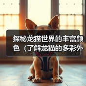 探秘龙猫世界的丰富颜色(了解龙猫的多彩外貌与色彩变化)(图4) 探秘龙猫世界的丰富颜色(了解龙猫的多彩外貌与色彩变化)(图4)