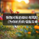慢跑对狗的益处与风险(为你的狗狗慢跑带来的好处和潜在风险)(图3) 慢跑对狗的益处与风险(为你的狗狗慢跑带来的好处和潜在风险)(图3)