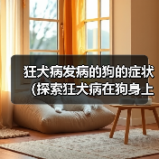 狂犬病发病的狗的症状(探索狂犬病在狗身上的表现及相关预防措施)(图4) 狂犬病发病的狗的症状(探索狂犬病在狗身上的表现及相关预防措施)(图4)