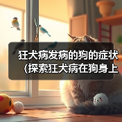 狂犬病发病的狗的症状(探索狂犬病在狗身上的表现及相关预防措施)(图3) 狂犬病发病的狗的症状(探索狂犬病在狗身上的表现及相关预防措施)(图3)