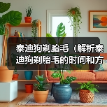 泰迪狗剃胎毛（解析泰迪狗剃胎毛的时间和方法）