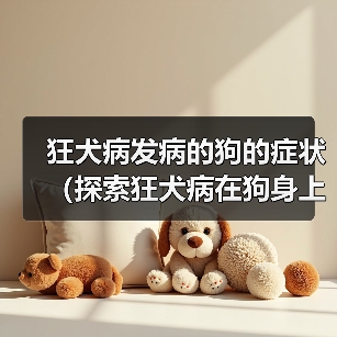 狂犬病发病的狗的症状（探索狂犬病在狗身上的表现及相关预防措施）