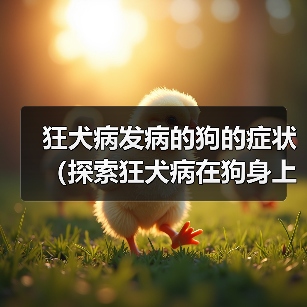 狂犬病发病的狗的症状(探索狂犬病在狗身上的表现及相关预防措施)(图2) 狂犬病发病的狗的症状(探索狂犬病在狗身上的表现及相关预防措施)(图2)