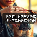 狗狗驱虫时间与方法解析（了解狗狗驱虫的时间表和适用方法，守护爱宠健康）