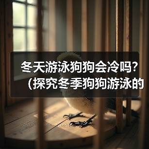 冬天游泳狗狗会冷吗?(探究冬季狗狗游泳的注意事项)(图3) 冬天游泳狗狗会冷吗?(探究冬季狗狗游泳的注意事项)(图3)