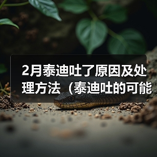 2月泰迪吐了原因及处理方法（泰迪吐的可能原因和预防措施）（图1）