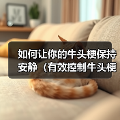 如何让你的牛头梗保持安静（有效控制牛头梗的吠叫行为，让生活更加美好）