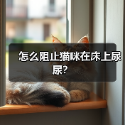 怎么阻止猫咪在床上尿尿?(图2) 怎么阻止猫咪在床上尿尿?(图2)