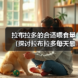 拉布拉多的合适喂食量(探讨拉布拉多每天最合适的喂食量及喂食技巧)(图2) 拉布拉多的合适喂食量(探讨拉布拉多每天最合适的喂食量及喂食技巧)(图2)