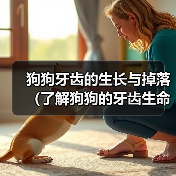 狗狗牙齿的生长与掉落（了解狗狗的牙齿生命周期及掉牙过程）