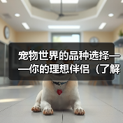宠物世界的品种选择——你的理想伴侣(了解不同品种的宠物,找到适合自己的伙伴)(图2) 宠物世界的品种选择——你的理想伴侣(了解不同品种的宠物,找到适合自己的伙伴)(图2)