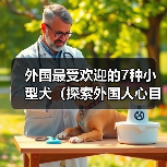 外国最受欢迎的7种小型犬（探索外国人心目中最受欢迎的小型犬，）