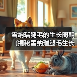 雪纳瑞腿毛的生长周期(揭秘雪纳瑞腿毛生长的时间和因素)(图3) 雪纳瑞腿毛的生长周期(揭秘雪纳瑞腿毛生长的时间和因素)(图3)