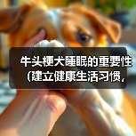 牛头梗犬睡眠的重要性（建立健康生活习惯，让宠物更健康）（图2）
