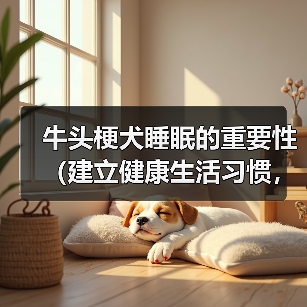 牛头梗犬睡眠的重要性（建立健康生活习惯，让宠物更健康）（图3）