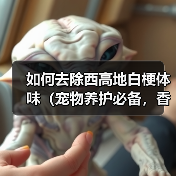 如何去除西高地白梗体味（宠物养护必备，香气环绕）（图4）