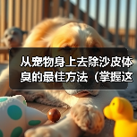 从宠物身上去除沙皮体臭的最佳方法（掌握这些技巧，让你的宠物永远散发清新香气！）（图4）