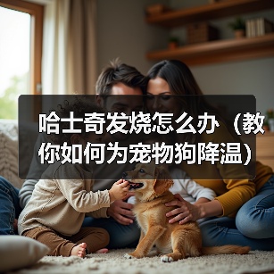 哈士奇发烧怎么办（教你如何为宠物狗降温）（图4）