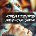 从宠物身上去除沙皮体臭的最佳方法（掌握这些技巧，让你的宠物永远散发清新香气！）（图2）