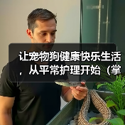 让宠物狗健康快乐生活，从平常护理开始（掌握这些要点，让狗狗更健康更快乐）（图4）