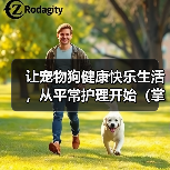 让宠物狗健康快乐生活，从平常护理开始（掌握这些要点，让狗狗更健康更快乐）（图3）