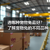 选哪种宠物兔最好？（了解宠物兔的不同品种，选择最适合自己的小伙伴）（图2）
