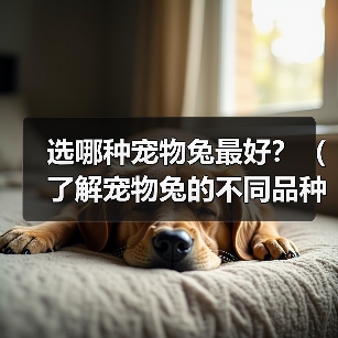选哪种宠物兔最好？（了解宠物兔的不同品种，选择最适合自己的小伙伴）