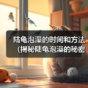 陆龟泡澡的时间和方法(揭秘陆龟泡澡的秘密,探讨适宜的泡澡时间)(图3) 陆龟泡澡的时间和方法(揭秘陆龟泡澡的秘密,探讨适宜的泡澡时间)(图3)