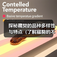 探秘藏獒的品种多样性与特点（了解藏獒的不同种类及其独特之处）