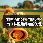 宠物龟的饲养与护理指南（掌握龟养殖的关键技巧，让你的宠物龟健康成长）
