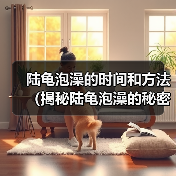 陆龟泡澡的时间和方法(揭秘陆龟泡澡的秘密,探讨适宜的泡澡时间)(图4) 陆龟泡澡的时间和方法(揭秘陆龟泡澡的秘密,探讨适宜的泡澡时间)(图4)