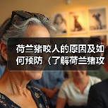荷兰猪咬人的原因及如何预防（了解荷兰猪攻击的原因，确保与宠物的安全）（图2）