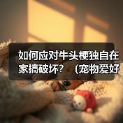 如何应对牛头梗独自在家搞破坏？（宠物爱好者必看！一定要知道的防范措施！）