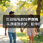 红纹锦龟的饲养指南（从选择到养护，助你打造健康的锦龟生活）