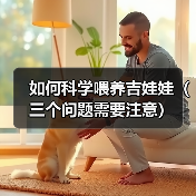 如何科学喂养吉娃娃(三个问题需要注意)(图3) 如何科学喂养吉娃娃(三个问题需要注意)(图3)
