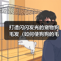 打造闪闪发光的宠物狗毛发(如何使狗狗的毛发有光泽?)(图2) 打造闪闪发光的宠物狗毛发(如何使狗狗的毛发有光泽?)(图2)