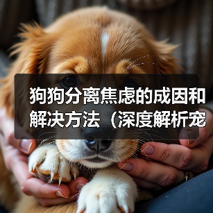 狗狗分离焦虑的成因和解决方法(深度解析宠物狗狗分离焦虑症状、原因及治疗方法)(图2) 狗狗分离焦虑的成因和解决方法(深度解析宠物狗狗分离焦虑症状、原因及治疗方法)(图2)