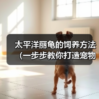 太平洋丽龟的饲养方法(一步步教你打造宠物丽龟之家)(图3) 太平洋丽龟的饲养方法(一步步教你打造宠物丽龟之家)(图3)