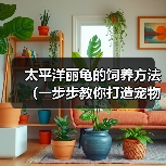 太平洋丽龟的饲养方法(一步步教你打造宠物丽龟之家)(图4) 太平洋丽龟的饲养方法(一步步教你打造宠物丽龟之家)(图4)