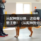 从配种到分娩,这些需要注意!(从配种到分娩,这些需要注意!)(图3) 从配种到分娩,这些需要注意!(从配种到分娩,这些需要注意!)(图3)