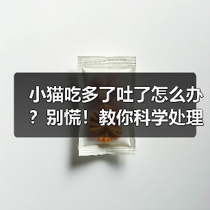 小猫吃多了吐了怎么办?别慌!教你科学处理(图2) 小猫吃多了吐了怎么办?别慌!教你科学处理(图2)