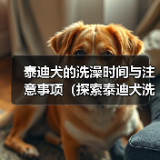 泰迪犬的洗澡时间与注意事项(探索泰迪犬洗澡的最佳时间和正确方式)(图4) 泰迪犬的洗澡时间与注意事项(探索泰迪犬洗澡的最佳时间和正确方式)(图4)