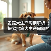 贵宾犬生产周期解析(探究贵宾犬生产周期的长短及影响因素)(图2) 贵宾犬生产周期解析(探究贵宾犬生产周期的长短及影响因素)(图2)