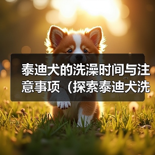 泰迪犬的洗澡时间与注意事项（探索泰迪犬洗澡的最佳时间和正确方式）