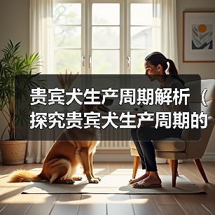 贵宾犬生产周期解析(探究贵宾犬生产周期的长短及影响因素)(图4) 贵宾犬生产周期解析(探究贵宾犬生产周期的长短及影响因素)(图4)