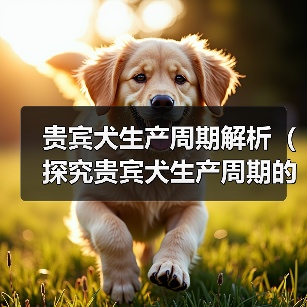 贵宾犬生产周期解析（探究贵宾犬生产周期的长短及影响因素）